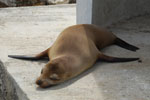 2012-01-14_10-21-58_DSC_3692.jpg