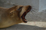 2012-01-14_10-22-29_DSC_3694.jpg