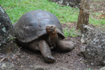 2012-01-14_11-00-52_DSC_3704.jpg