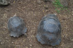 2012-01-14_11-11-34_DSC_3724.jpg