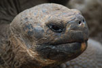 2012-01-14_11-14-57_DSC_3726.jpg