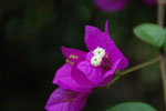 2012-01-14_11-24-19_DSC_3733.jpg