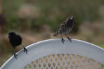 2012-01-14_12-46-55_DSC_3755.jpg