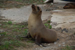 2012-01-14_13-00-10_DSC_3768.jpg