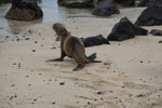 2012-01-14_13-01-46_DSC_3781.jpg