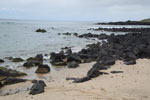 2012-01-14_13-02-21_DSC_3786.jpg