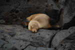2012-01-14_13-03-49_DSC_3793.jpg