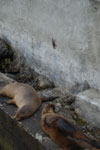 2012-01-14_13-05-19_DSC_3796.jpg