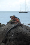 2012-01-14_13-12-14_DSC_3811.jpg