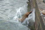 2012-01-14_13-13-12_DSC_3817.jpg