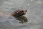 2012-01-14_13-13-25_DSC_3821.jpg
