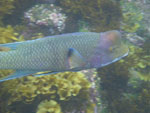 2012-01-14_14-25-30_IMGP2494.jpg