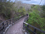 2012-01-15_15-24-07_IMGP2548.jpg
