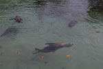 2012-01-16_09-55-43_DSC_3862.jpg