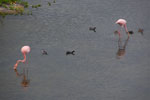 2012-01-16_10-13-06_DSC_3873.jpg