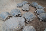 2012-01-16_10-24-19_DSC_3879.jpg