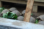 2012-01-16_10-25-34_DSC_3883.jpg