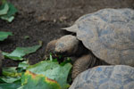 2012-01-16_10-25-44_DSC_3885.jpg