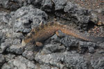 2012-01-16_10-53-00_DSC_3924.jpg