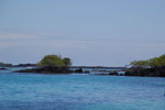 2012-01-16_13-04-10_DSC_3965.jpg