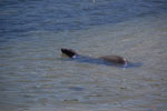 2012-01-16_13-34-27_DSC_4039.jpg