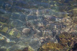 2012-01-16_13-49-42_DSC_4065.jpg