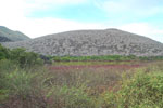 2012-01-18_08-09-16_DSC_4310.jpg