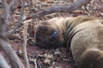 2012-01-18_08-11-09_DSC_4317.jpg