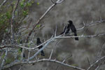 2012-01-18_08-22-00_DSC_4337.jpg