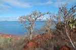 2012-01-18_08-40-16_DSC_4347.jpg