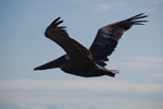 2012-01-18_09-06-22_DSC_4375.jpg