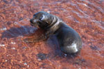 2012-01-18_09-21-03_DSC_4396.jpg