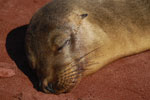 2012-01-18_09-22-08_DSC_4403.jpg