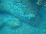 2012-01-18_10-37-34_IMGP2732.jpg