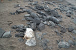 2012-01-18_14-04-46_DSC_4440.jpg