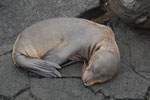 2012-01-18_14-36-55_DSC_4497.jpg