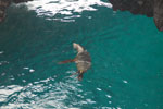 2012-01-18_15-24-43_DSC_4590.jpg