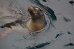 2012-01-18_15-25-42_DSC_4597.jpg