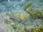 2012-01-18_16-30-48_IMGP2789.jpg