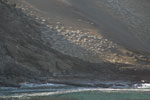2012-01-19_08-00-33_DSC_4615.jpg