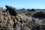 2012-01-19_08-24-08_DSC_4643.jpg