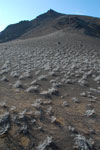 2012-01-19_08-26-07_DSC_4644.jpg