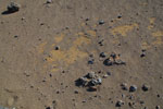 2012-01-19_08-40-10_DSC_4653.jpg