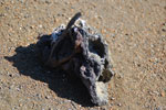 2012-01-19_09-22-41_DSC_4766.jpg