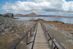 2012-01-19_09-28-44_DSC_4780.jpg