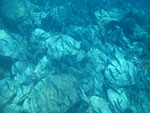 IMGP2859.jpg