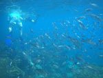 IMGP2875.jpg