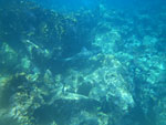 IMGP2882.jpg