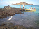 IMGP2965.jpg