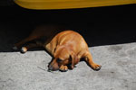 2012-01-24_13-46-36_DSC_5119.jpg